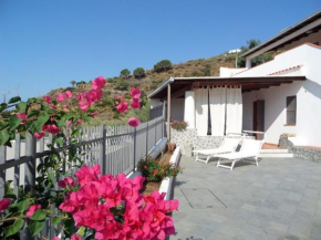 Salina perla verde